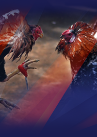 Epsom Downs Racecourse