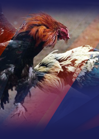 Epsom Downs Racecourse