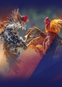 Cheltenham Racecourse