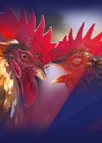 Saratoga Race Course